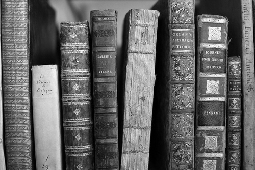 Luscious imagery essay example picture