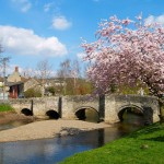 Beautiful houses and gardens - English village with old bridge and beautiful tree