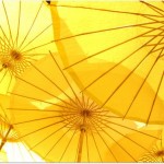 Sun umbrellas