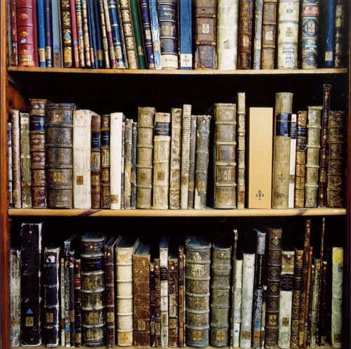 Books on library shelves - Luscious books and libraries