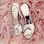 Photos of feathers - Luscious blog - feathery shoes