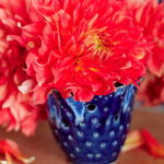 Photos of vases - red flowers in blue vase