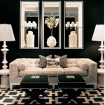 elegant living room ideas - black and white
