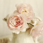Luscious flowers- help me with my wedding
