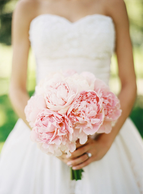 Help me with my wedding - white wedding dress and pink peonies