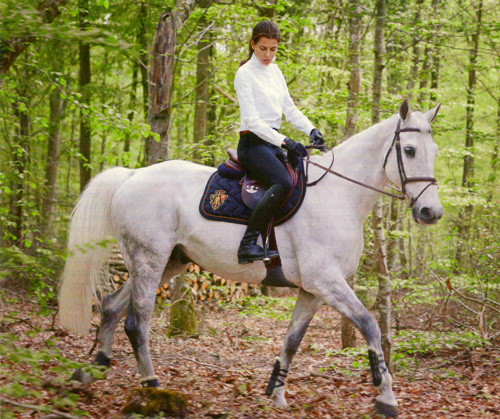 Charlotte Casiraghi, equestrian, on a white horse