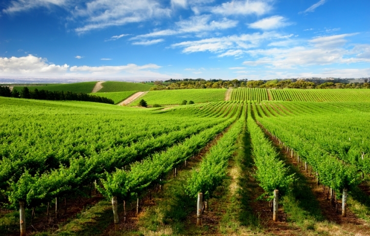 LUSCIOUS TRAVEL: A luxury mini break in Adelaide and the Barossa Valley