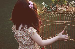 bow-cage-child-childhood-floral-flowers.jpg