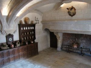 french-kitchen-old-world-decor-massive-fireplace-mounted-boars-head-castle-of-chenonceau-france.jpg