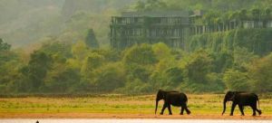 Sri_Lanka_travel_elephants.jpg