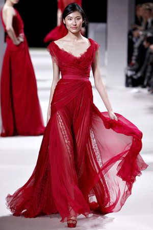 elie-saab-spring-2011-hc-pink-lace-panel-gown-profile.jpg